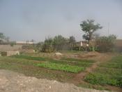 A vendre terrain