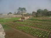 A vendre terrain