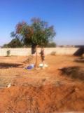 Terrain a vendre 500mq nguekhokh