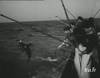 1957 : Pêche et étude du thon à Dakar Sénégal - 11008 vues