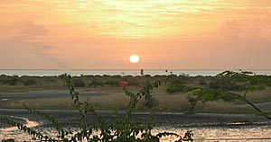 Coucher de soleil sur la lagune de Mbodiène