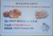 Vente poulets de chair et oeufs