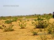 Petit prix pour terrain de 450 m2