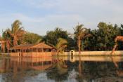 À Vendre Campement Hôtelier + Maison Saint Louis du Sénégal