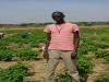 Par Moustapha Ane (2008)