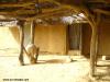 Pikine Ecole 3/A Touba Diacksao