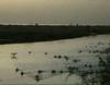 La lagune de Mbodiène - 21000 vues