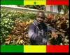 Abdou Guité Seck - Viva - 6643 vues