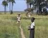 Cultivatrices de riz à Ziguinchor (quartier de Colobane) - 32467 vues