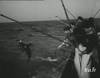 1957 : Pêche et étude du thon à Dakar Sénégal - 11827 vues