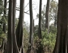 Développement de la Casamance à travers l'action des contribuables espagnols. - 36174 vues